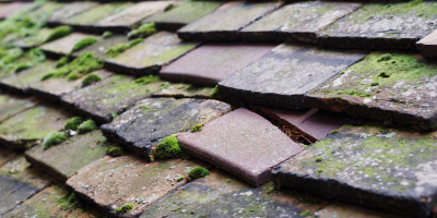 Marshside roof repair costs